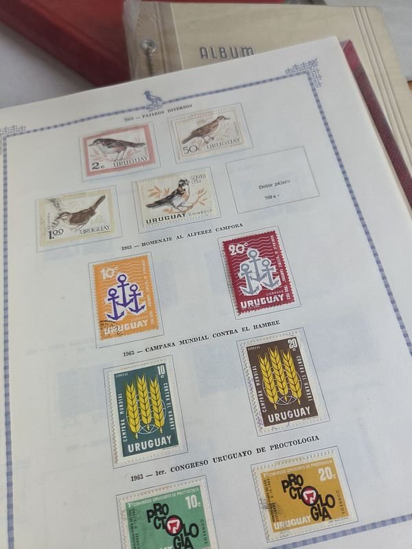 Item 872047 - Image 8