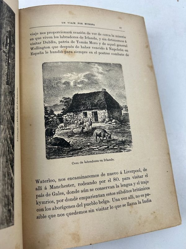 Item 924186 - Image 6