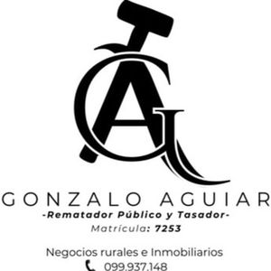 Logo de gonzalo-sebastian-aguiar-mesa