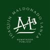 Joaquin Maldonado Lanza logo