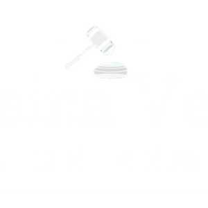 Logo de luisinaveiga