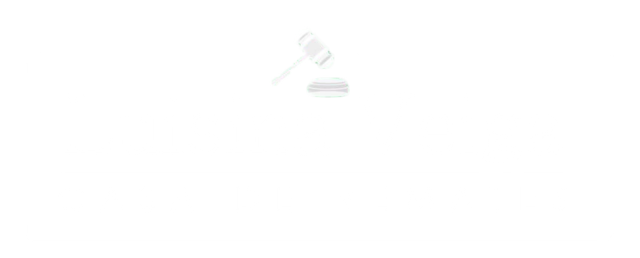 Logo de luisinaveiga
