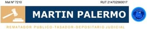 Martin Palermo logo