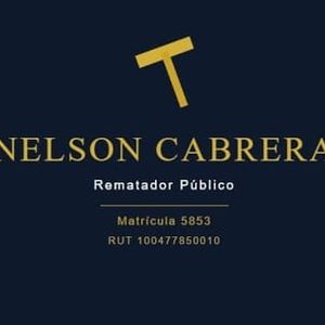 Nelson Cabrera logo