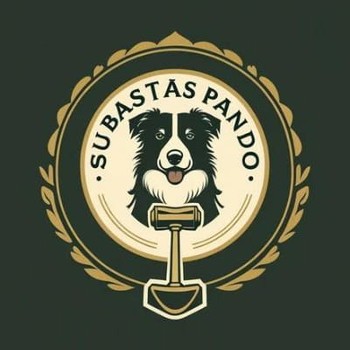 Logo de Subastas Pando