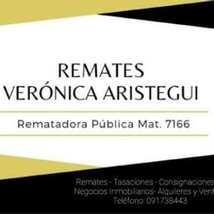Verónica Aristegui Díaz logo