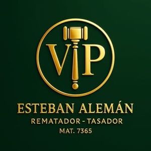 Logo de vip-subastas