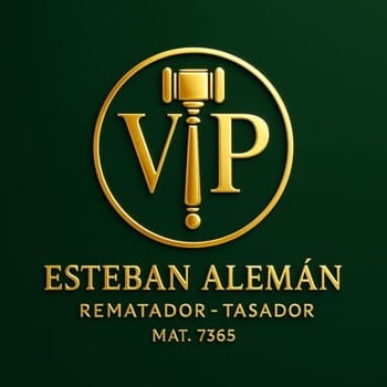 Logo de vip-subastas